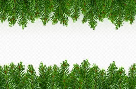 Pine tree branch border realistic vector illustration. Fir twigs with green needles, frame isolated on transparent background. Winter holiday evergreen decoration, spruce or cedar elementsのイラスト素材