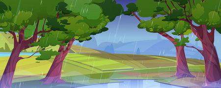 Summer rainy landscape with farm fields, forest and river. Rural fall scene, countryside with trees with green foliage, fields, puddle and road, vector cartoon illustrationのイラスト素材