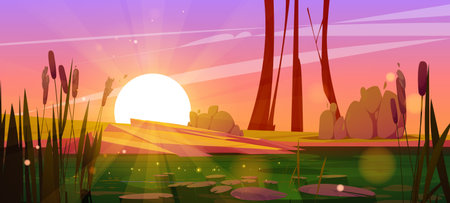 Green swamp and cattail near lake, sunset vector background. Pond in bush, bulrush in park. Dirty water in river cartoon illustration for fantasy game. Wild nature landscape with shining water surfaceのイラスト素材