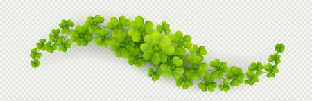 Lucky four leaf clover, border for Irish Patricks day background. Green shamrock leaves, wavy divider isolated on transparent background, vector realistic illustrationのイラスト素材