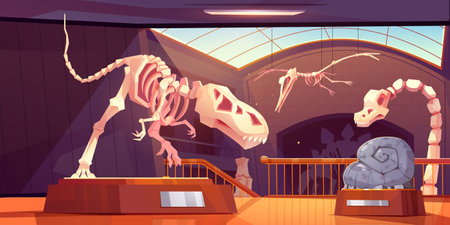 Fossil tyrannosaurus dinosaur skeleton in museum cartoon vector ancient exhibit. Archaeology interior room with pedestal and flying pterodactyl bone in gallery near window. Prehistory animal discoveryのイラスト素材