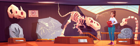 Woman guide in museum with fossil dinosaur cartoon vector. Tyrannosaurus dino skeleton exhibit on pedestal and archaeologist history. Prehistoric gallery interior with jurassic animal skull and bone.のイラスト素材