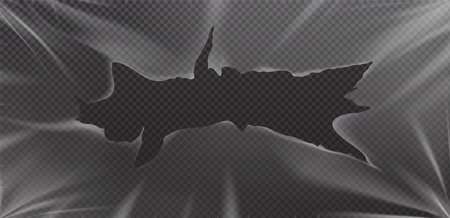 Torn vinyl cover plastic texture with hole edge background. Cd wrap with shrink and damage distressed overlay advertising wallpaper. 3d broken tape poster transparent frame for album record mockup.のイラスト素材