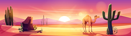 Arizona desert landscape with brown rock and sand dune hills, green cactus and grass, camel on sunset or sunrise. Cartoon drought sandy scenery with wild cacti and animal, pink evening or morning sky.のイラスト素材