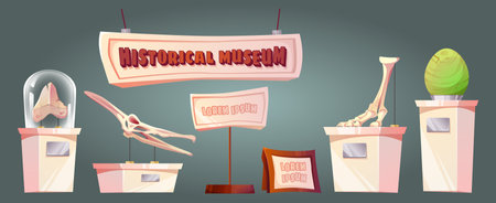 Paleontology museum exhibits set isolated on background. Vector cartoon illustration of dinosaur egg, skull, skeleton bones on stands under glass cover, prehistoric animal remnants, science exhibitionのイラスト素材