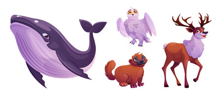 North Pole animal owl, whale and winter reindeer cute vector character. Arctic polar cartoon wildlife collection isolated on white background. Cold Alaska deer set for northeast zoo with species.のイラスト素材