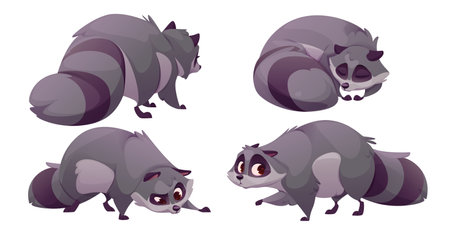 Cute racoon character. Funny raccoon cartoon illustration set. Wild animal bandit mascot emotion collection. Adorable sleeping or searching for smell lovely tail graphic asset for wildlife gameのイラスト素材