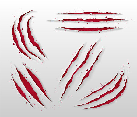 Animal claw scratch mark with red surface and splashes. Realistic 3d vector illustration set of different tiger or bear paw attack trail. Scary monster nail crack paper or laceration slash trace.のイラスト素材