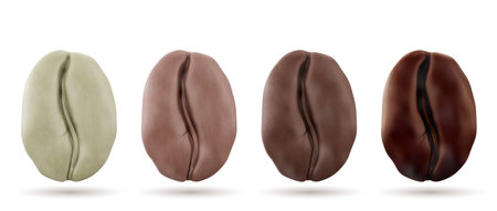 Realistic 3d coffee beans showing roasting stages from raw green to dark brown. Four detailed kernels with gradual color transformation during heating process for barista education or roasting guides.のイラスト素材