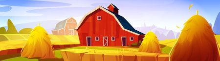 Red barn in autumn rural landscape with hay stacks on yellow fields on hills. Fall seasonal countryside scenery with wooden shed. Cartoon vector ranch farmhouse for cattle and harvest storing.のイラスト素材