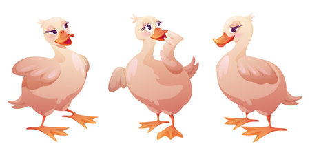 Cute duck character set - plump pink waterfowl with expressive eyes and orange webbed feet shown from different angles. Cartoon bird mascot with various poses for children animation or game design.のイラスト素材