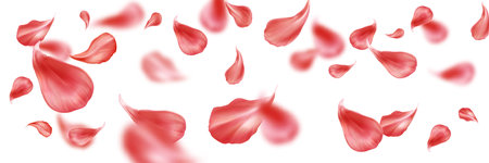 Red rose petals floating in air with blurred motion effect on white background. Scattered crimson floral elements in dynamic composition for romantic design or wedding decoration. Flying blossom leaf.のイラスト素材