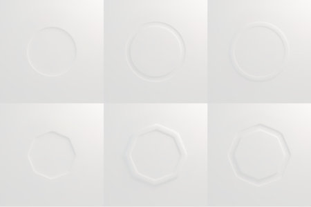 White embossed circular and octagon frames on light background. Minimalist geometric shapes with subtle relief, raised borders and soft shadows. Clean design elements for modern presentation mockup.のイラスト素材