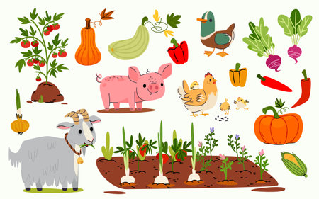 Garden farm set of animals and vegetables - pig and goat, hen with chick and duck, planted rows. Fresh produce of tomatoes and pumpkin, squash and peppers. Cartoon livestock for agriculture design.のイラスト素材