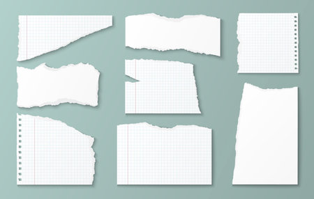 Torn paper pieces collection - realistic white notebook sheets with ripped edges, grid lines, spiral perforations. Scrapbook elements for journaling, collage crafts, creative notes and memory keeping.のイラスト素材