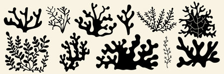 Black seaweed silhouettes set isolated on white background. Flat vector illustration of coral icons, abstract organic plants, underwater floral shadows for modern marine design patterns, sea natureのイラスト素材