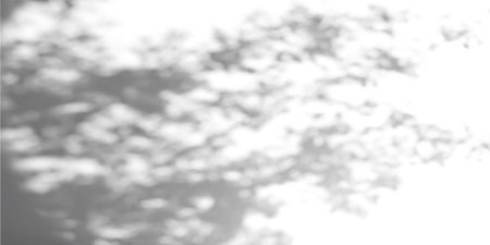 Abstract gobo light texture on concrete background. Vector realistic illustration of tree leaf and...