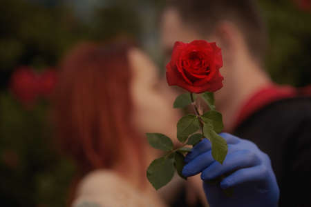 Blurred background photo of a young romantic couple. A hand in a protective glove holds a rose. Love in the face of the coronavirus. Valentine's day and coronavirus.Love and coronavirusの写真素材