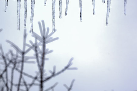 Icicles hanging from a roof on a background of trees.Blurred Background.Unobtrusive winter...