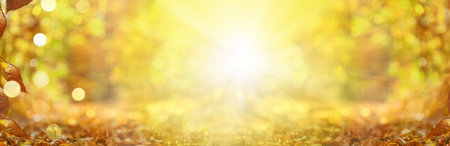 Blurred autumn background.Abstract natural background with bokeh and sun flares. Autumn trees and leaves bokeh. Natural background with yellow accent.Ultra wide banner format.Copy Spaceの写真素材