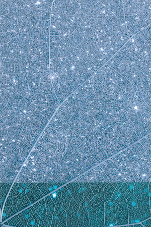 Tender blue background. Unobtrusive background with a transparent sheet texture. Foggy glitter glitter. Two-color background. Can be used as background for happy birthday greeting cards, for weddings.の写真素材
