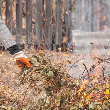 Gloved hand throws rubbish into the fire. Work outdoors in the garden. The man holds dry grass and branches. Burn trashの写真素材