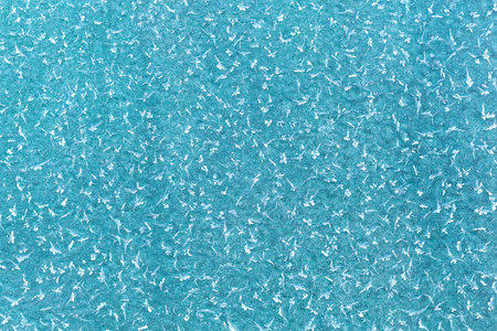 Ice flowers and frozen macro view. Soft focus. Frost texture pattern. Cold winter weather background...