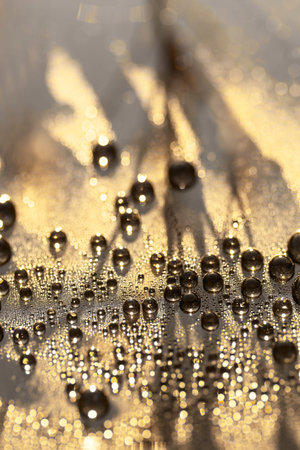 Bubbles Surface .Abstract Background Yellow Accent .Water Drops Glitter. Abstract water bokeh...