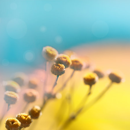 Beautiful soft spring background. Blurred natural background. Delicate natural background in pastel...