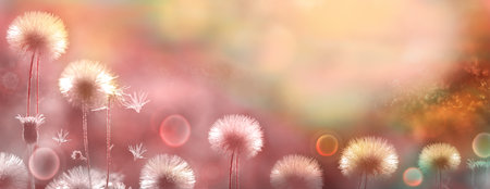 Flower panorama. Blurred natural background. Delicate natural background in pastel colors. Fluffy flowers, copy space.Abstract blurred background. In the spring, in the summer.の写真素材