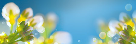 Blurred floral background with copy space for your text. Cherry blossom flower buds in spring....