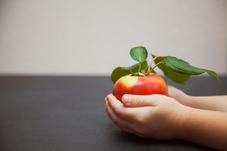 Little child's hand hold red apple on minimalistic background. Copy space. Conceptの写真素材