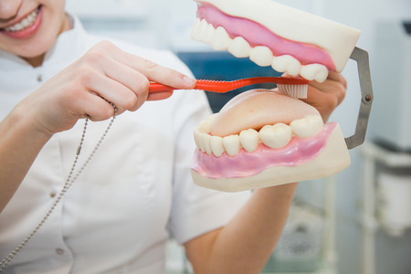 Closeup of female professional dentist show teeth hygiene on jaw model. Stomatologist and patient at clinical office. Toothcare conceptの写真素材