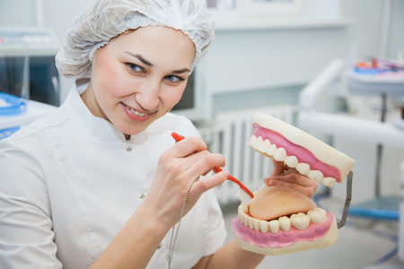 Female professional dentist show teeth hygiene on jaw model. Stomatologist and patient at clinical office. Toothcare conceptの写真素材