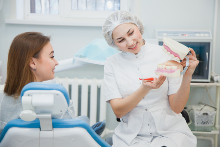 Female professional dentist show teeth hygiene on jaw model. Stomatologist and patient at clinical office. Toothcare conceptの写真素材
