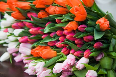 A huge multicolor bouquet of tulips lay on table. A bright background of spring flower blossoms. Floristics and holiday preparation. Floral design conceptの写真素材