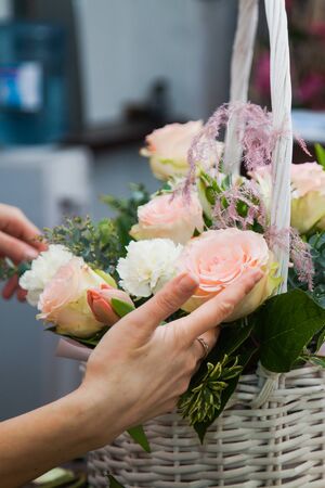 Female florist designer gathering flowers to make a bouquet in white basket. Floral shop preparing presents for holiday or decoration. Flower delivery concept.の写真素材
