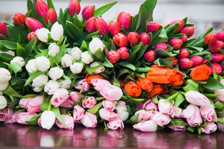 A huge multicolor bouquet of tulips lay on table. A bright background of spring flower blossoms. Floristics and holiday preparation. Floral design conceptの写真素材