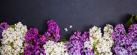 Purple and white lilac arrangement on dark background for banner. Wide floral picture with copy space for text.の写真素材
