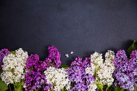 Purple and white lilac arrangement on dark background. Flat lay floral picture with copy space for text.の写真素材