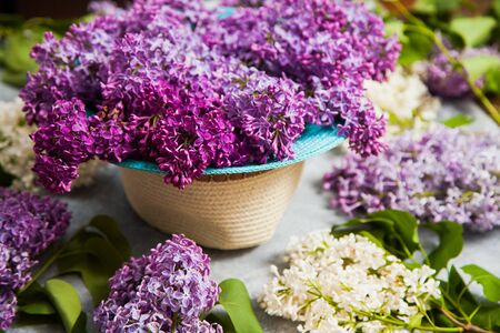 Beautiful purple lilac blossom into summer hat on grey background. Floral arrangement, spring blooming concept.の写真素材