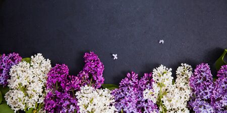 Purple and white lilac arrangement on dark background for banner. Wide floral picture with copy space for text.の写真素材