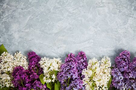 Purple and white lilac arrangement on light grey background. Flat lay floral picture with copy space for text.の写真素材