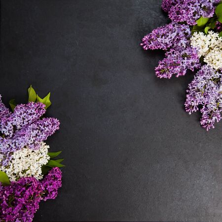 Square background with copy space in center and lilac blossom on border. Floral arrangement on dark background.の写真素材