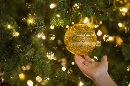 Little childs hand holding gold christmas ball on holiday tree. Festive toy hang on New year fur-tree. Holiday concept.の写真素材