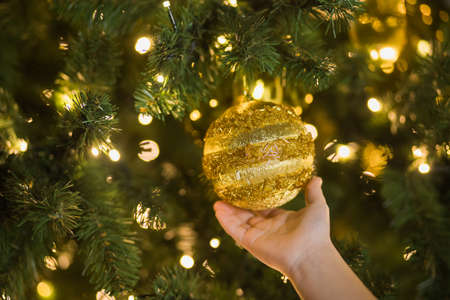 Little childs hand holding gold christmas ball on holiday tree. Festive toy hang on New year fur-tree. Holiday concept.の写真素材