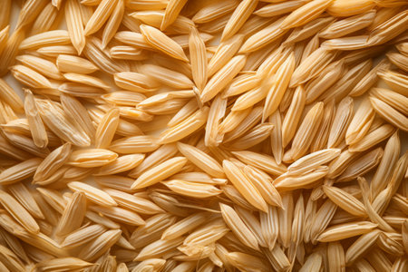 Brown rice close up texture background pattern.の素材
