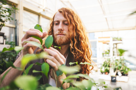 Passionate red haired botanist carefully studying plant leaves in a vibrant greenhouse, showcasing expertise in horticulture. Sunlight illuminates his dedication to natureの写真素材