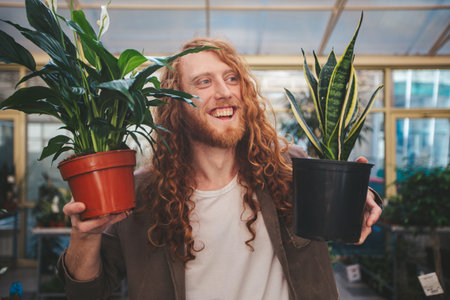 Cheerful gardener in a greenhouse, holding potted plants, smiling happily, showing passion for gardening. Red haired man tending to snake plant and peace lily, surrounded by greeneryの写真素材