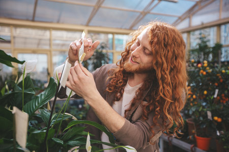 Red haired man tends to plants in a busy greenhouse. Embodying the essence of a dedicated small business owner in the world of flowers and plantsの写真素材